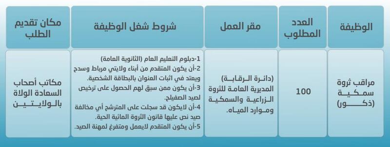 الإعلان عن 100 فرصة وظيفية في إحدى الوزارات