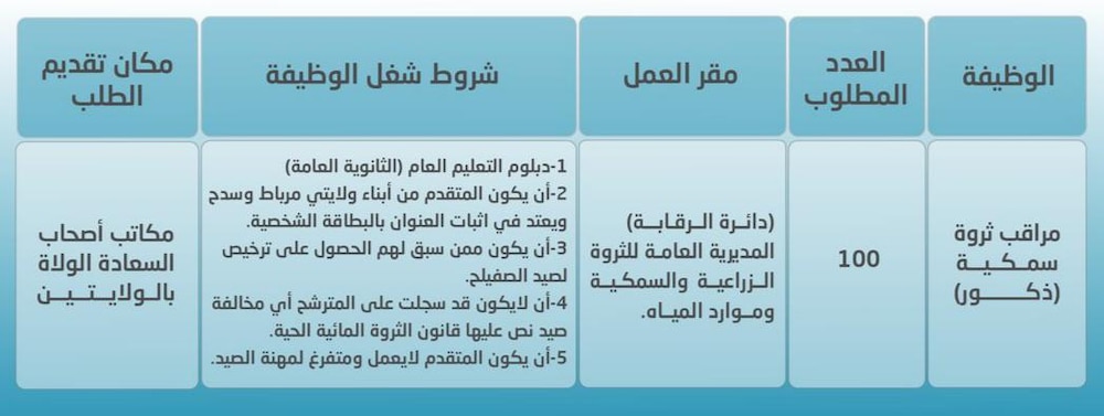 الإعلان عن 100 فرصة وظيفية في إحدى الوزارات