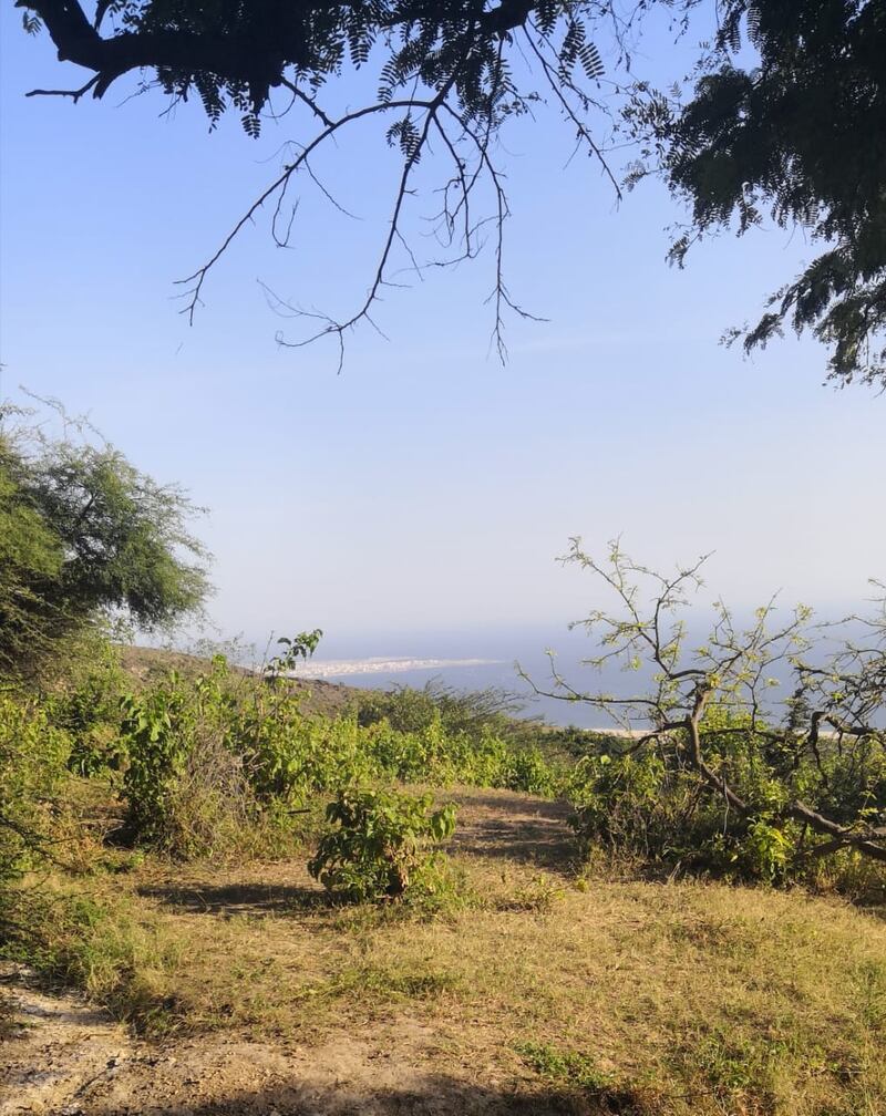 بالصور: “شعبون” مكان سياحي ساحر في ظفار