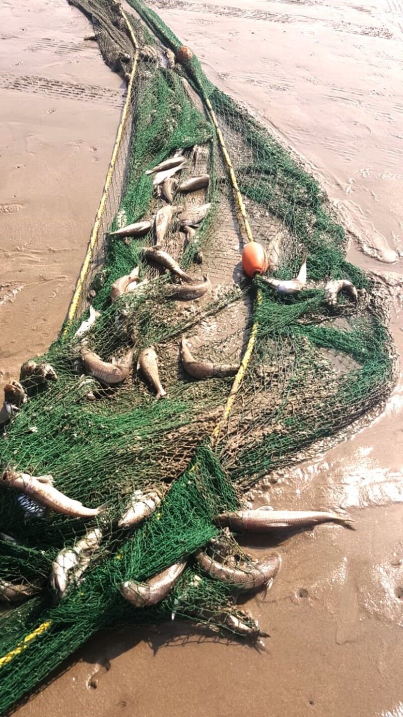 ضبط مخالفات على سواحل مسقط وتحويلها إلى الادعاء العام