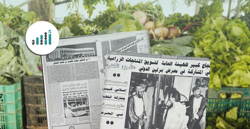 لمدة 20 عامًا: عندما كان لدينا هيئة تُسمّى الهيئة العامة لتسويق المنتجات الزراعية 