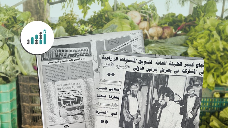 لمدة 20 عامًا: عندما كان لدينا هيئة تُسمّى الهيئة العامة لتسويق المنتجات الزراعية