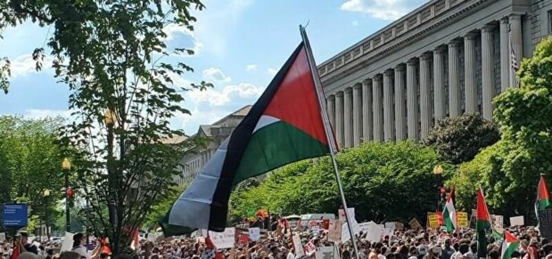 أعداد المؤيدين للفلسطينيين تتزايد في الأوساط الأكاديمية الأمريكية 