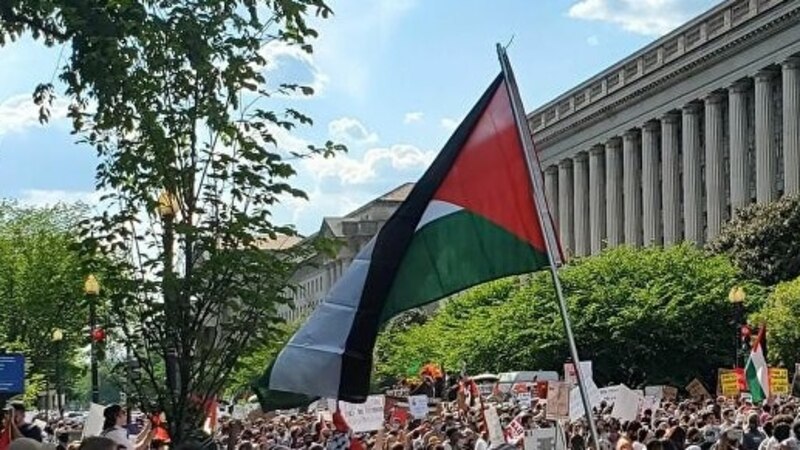 أعداد المؤيدين للفلسطينيين تتزايد في الأوساط الأكاديمية الأمريكية