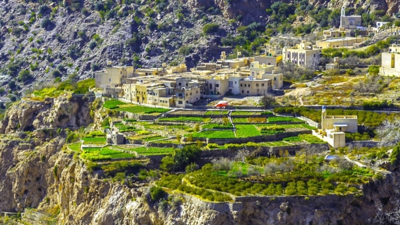 مشروعات تنموية متكاملة في الجبل الأخضر، إليك هذه المعلومات عنها