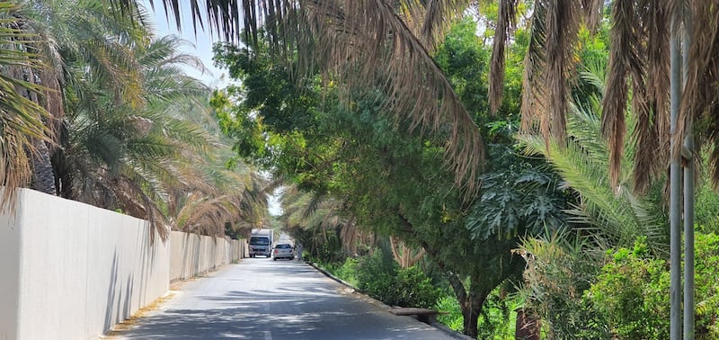 في العامرات: بيوت أثرية تروي قصة الإنسان العماني