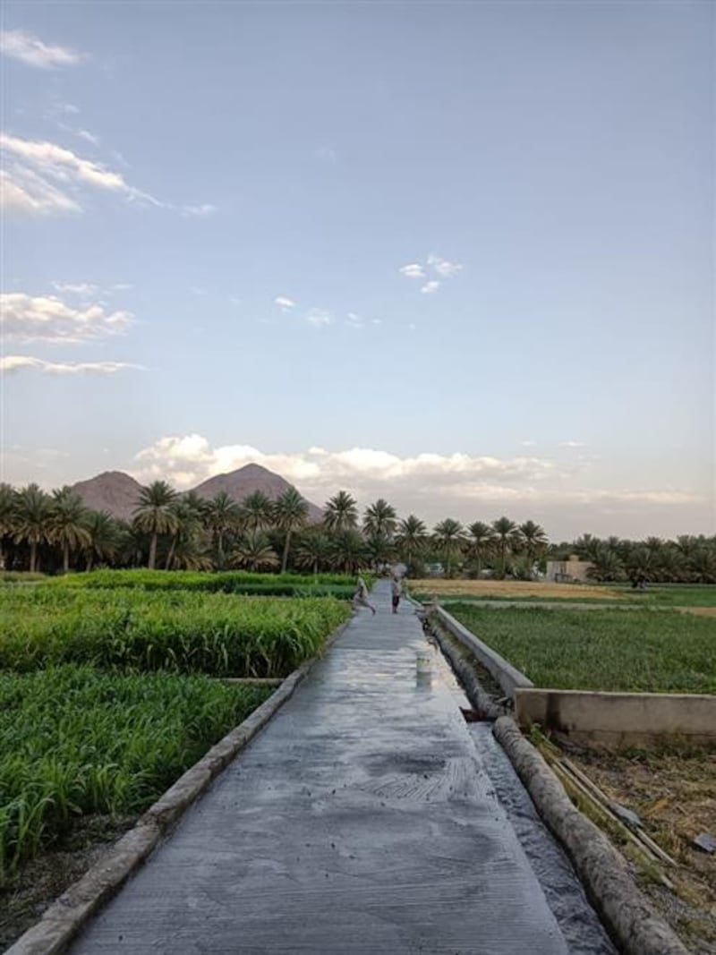 أهالي الحمراء يرصفون طرقًا بين المزارع لممارسة المشي