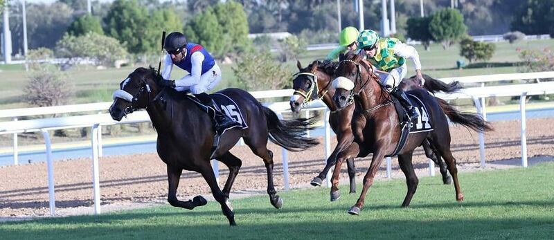 مهرة عمانية تُتوج في سباق “دلما” بأبوظبي