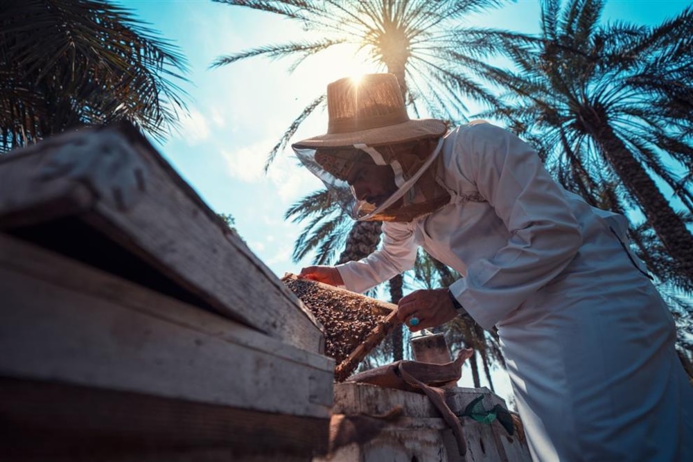 دعم 20 أسرة في تربية العسل