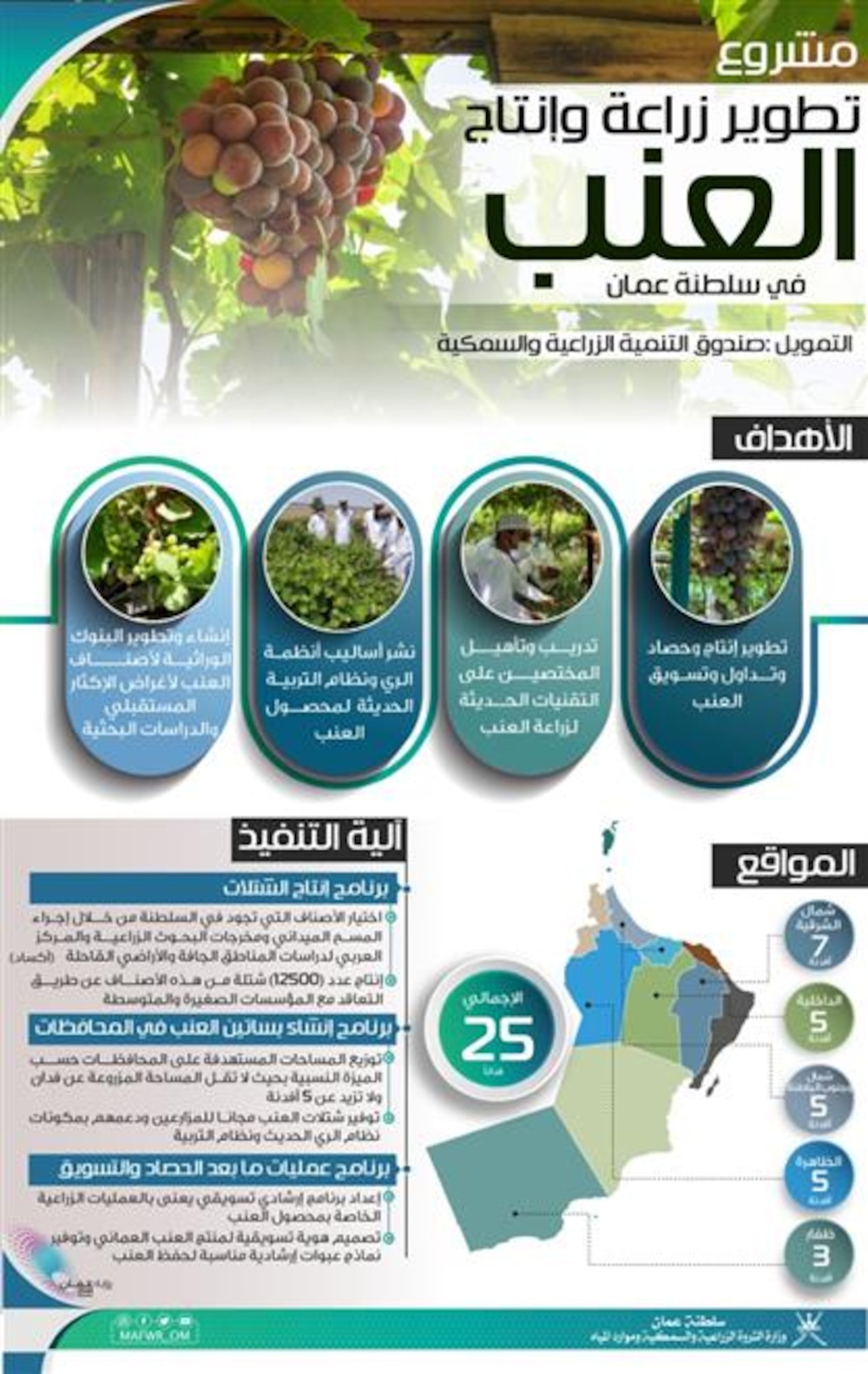 مشروع لتطوير زراعة العنب في السلطنة