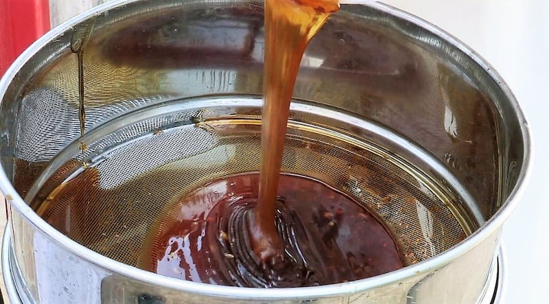 طريقتان لتربية العسل…والعماني له نوعان