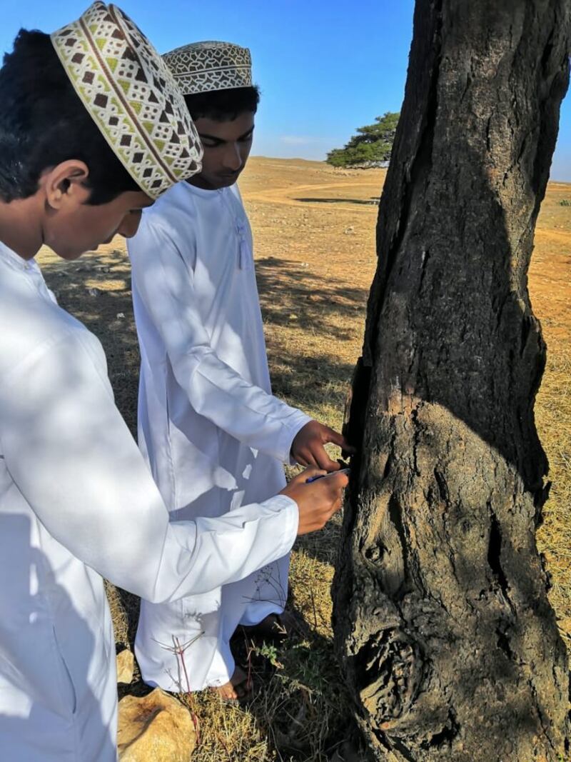 قام بها طلبة: دراسة تكشف نتائج عن شجرة ” الطلح” وتوزيعها