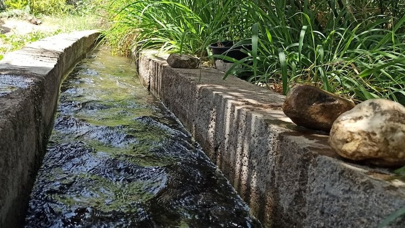 الفتح.. فلجٌ غيلي مياهه متدفقة