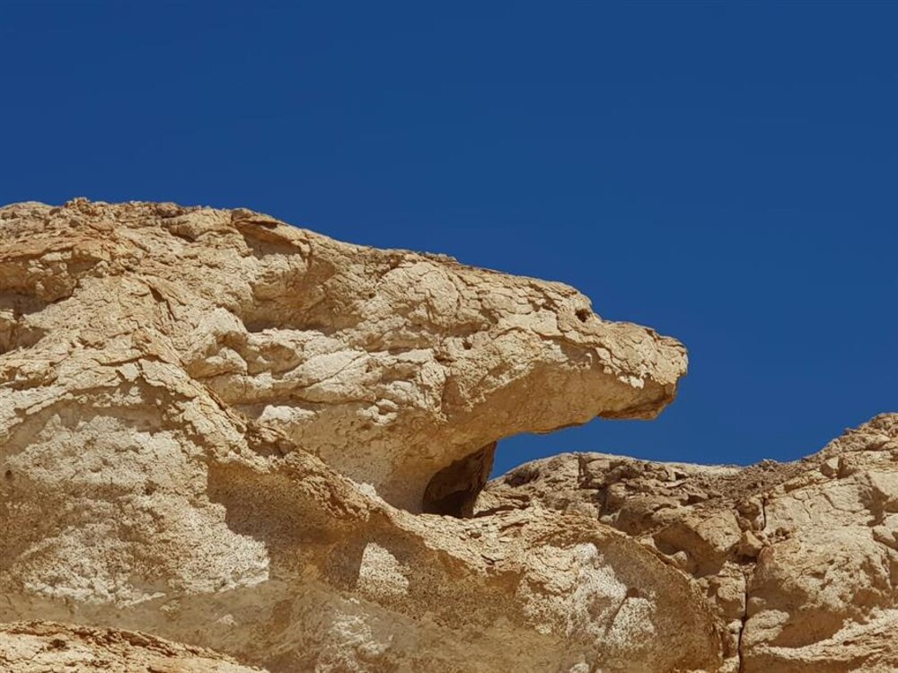 ترسبات صخرية عمرها أكثر من 50 مليون سنة في إحدى الولايات
