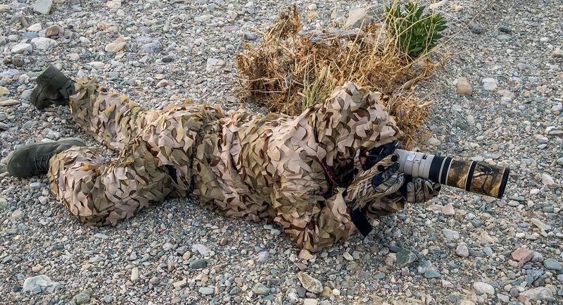 أكثر من  500 صورة..مواطن ينتظر ساعات طويلة في تصوير الطيور