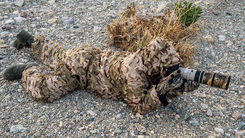 أكثر من 500 صورة..مواطن ينتظر ساعات طويلة في تصوير الطيور