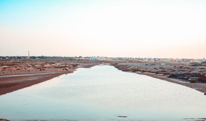 خور القريم بالمصنعة: موطن مؤقت للطيور المهاجرة