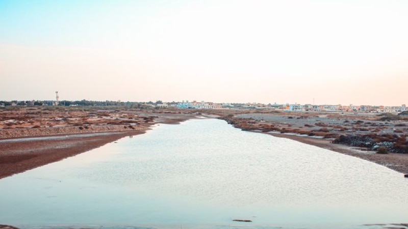 خور القريم بالمصنعة: موطن مؤقت للطيور المهاجرة