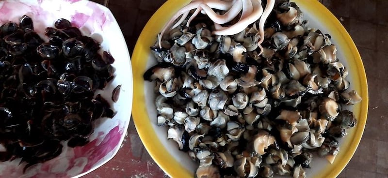 ماذا تعرف عن موسم الرحس الذي يستمر حتى أبريل؟