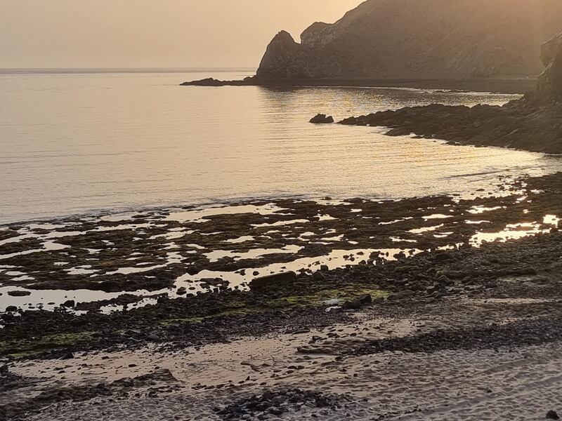 بالصور: معاناة سكّان “عينت” هل تجد لها آذانا صاغية؟