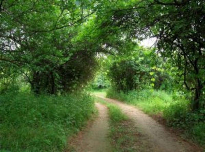 بالخريطة والصور.. نحيز الوادي الأخضر وكهفه الفريد