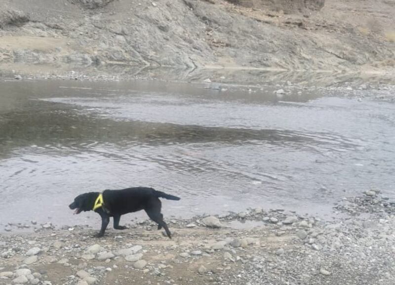 أكثر من 15 وفاة: نزيف الأرواح “يُنغِّص” الفرحة بالأجواء الاستثنائية