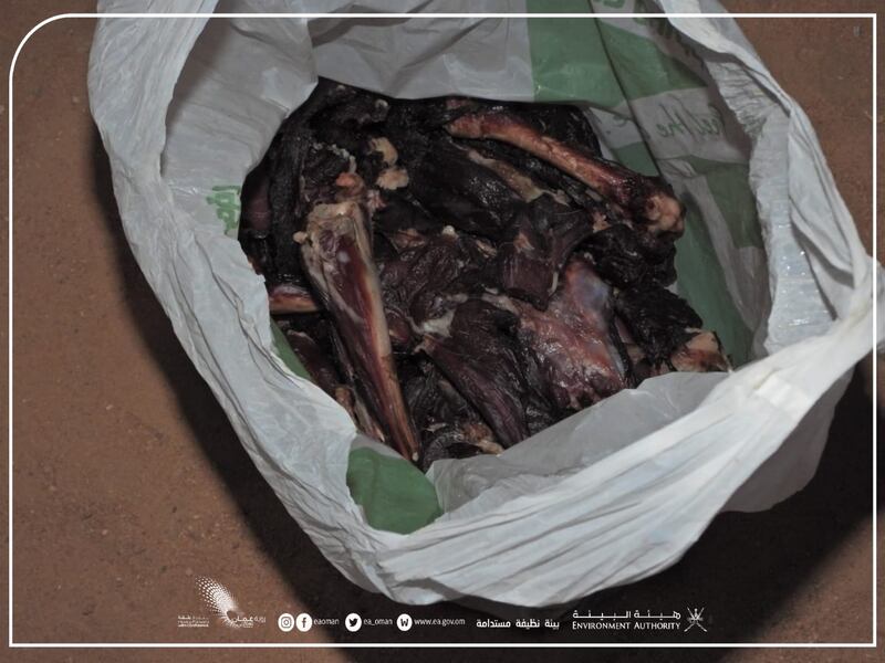 ضبط أشخاص انتهكوا قانون الحياة الفطرية