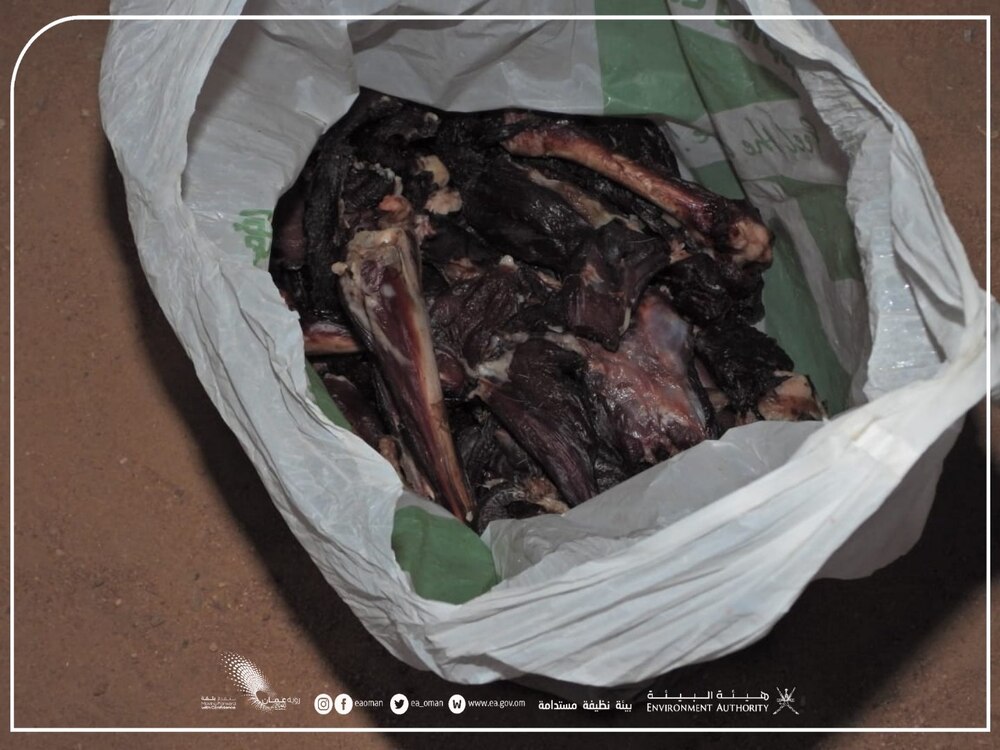 ضبط أشخاص انتهكوا قانون الحياة الفطرية