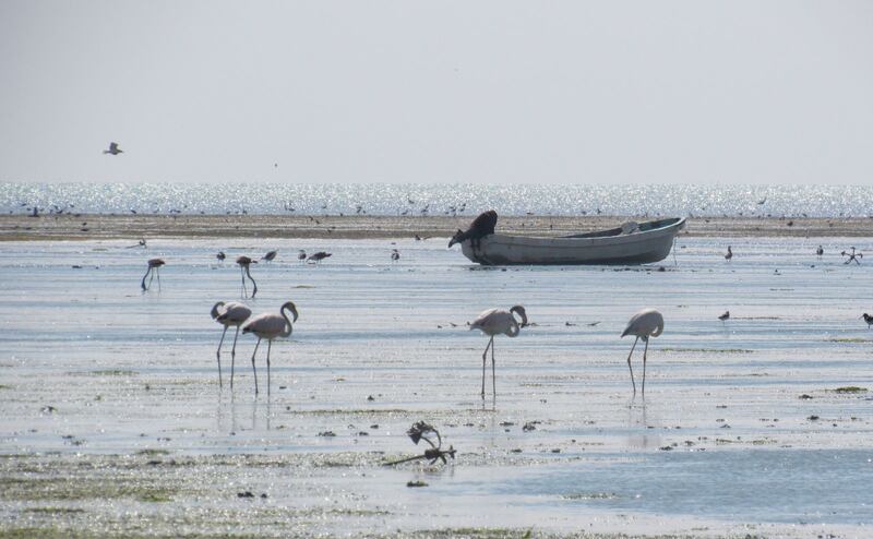 بالصور: موقع عُماني يُعتمد ضمن قائمة الأراضي ذات الأهمية الدولية