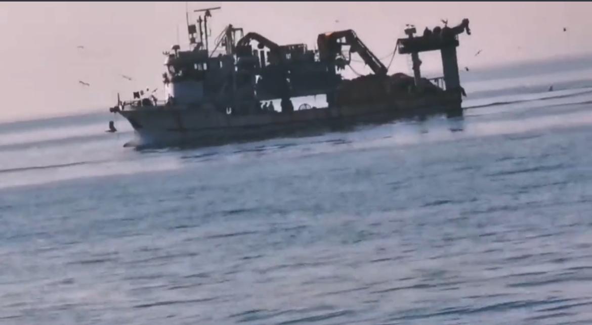 مواطن: وافدون يرتكبون ممارسات خاطئة في الصيد والبيئة البحرية