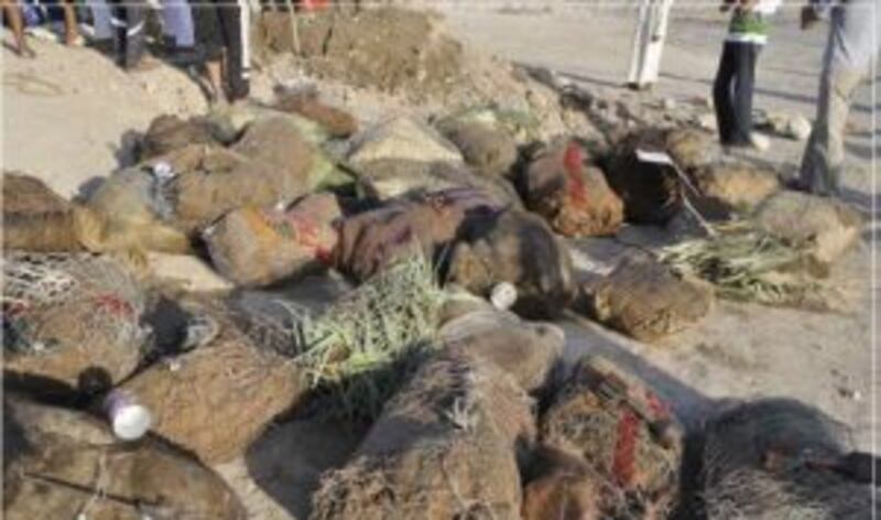 الشواء العُماني وجبة العيد الفريدة ..تعرّف على مراحل إعداده بالصور