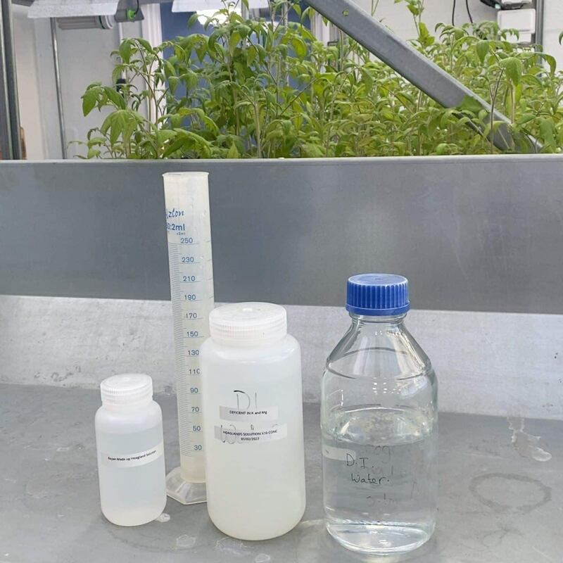 في بريطانيا: طالبة عمانية تنجح في استخدام الغبار الصخري لإنتاج الغذاء من النباتات