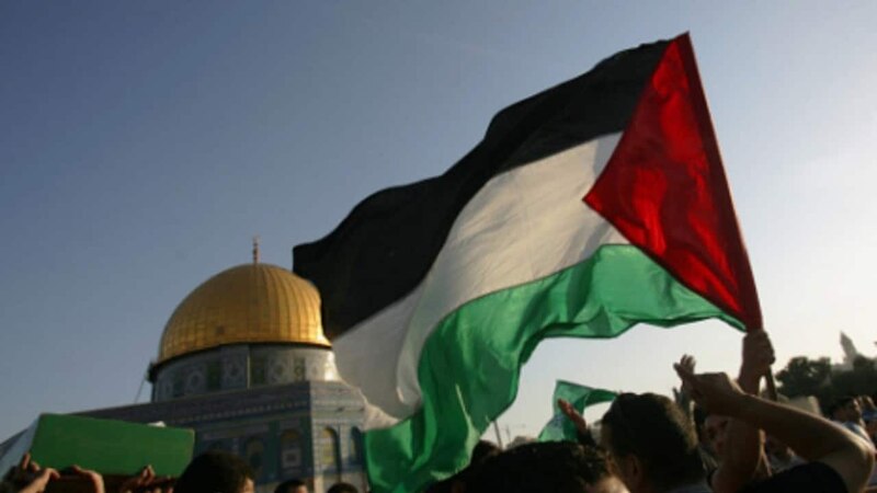 قصة صراع وإرادة تُسمّى فلسطين