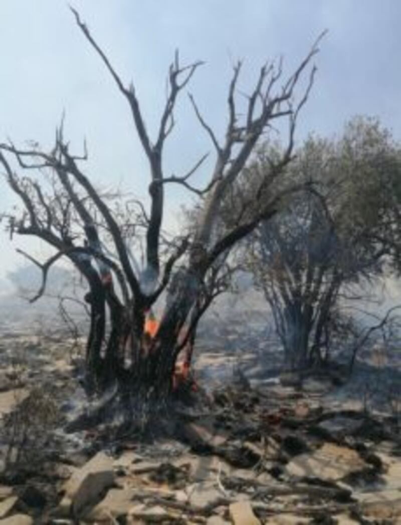 حريق في الحمراء والجهود متواصلة لاحتوائه