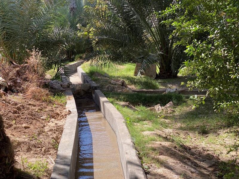 تعرّف على أهم أفلاج ولاية السنينة