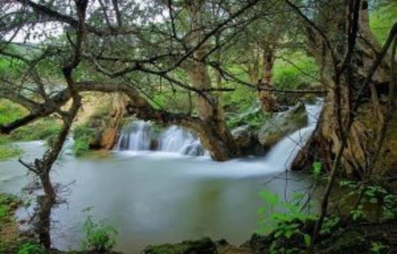 بالصور والخريطة.. تعرّف على  عين حمران في طاقة