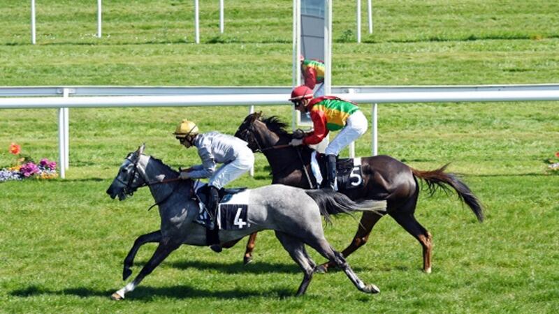 في سباق عالمي: ” دليل” من الخيالة السلطانية يخطف المركز الثاني