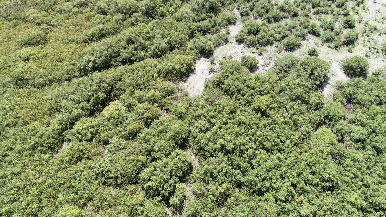 بالصور: موقع عُماني يُعتمد ضمن قائمة الأراضي ذات الأهمية الدولية