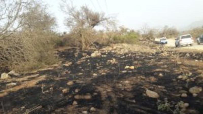 بالصور: حريق يلتهم الكثير من الأشجار و الحشائش برخيوت