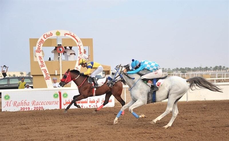 ملّاك الخيل يطرحون تساؤلات حول السباقات.. ويُطالبون بالاهتمام