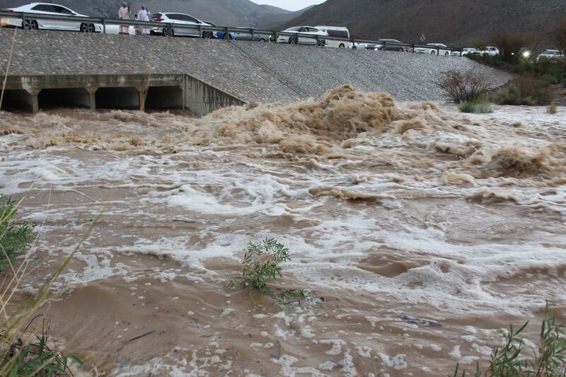بالصور: الخير “ينهمر” على عدد من الولايات