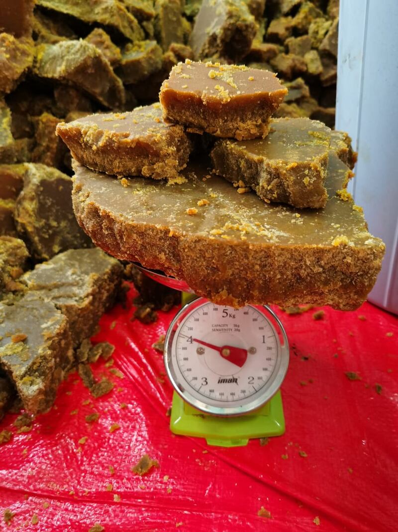 بالصور: منح تسجل 25 طنًا من إنتاج قصب السكر