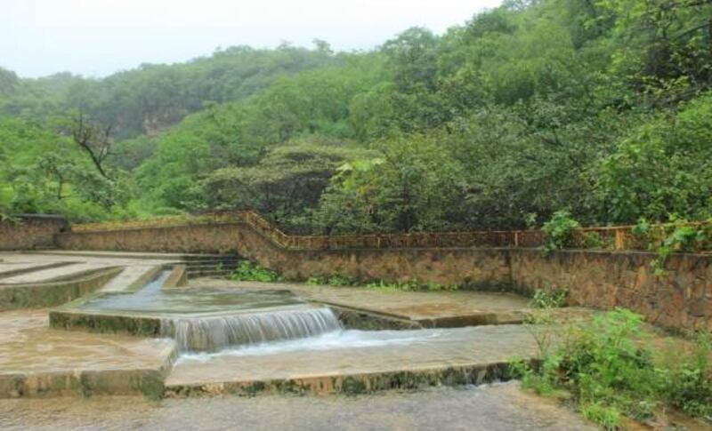 ماذا تعرف عن عين طبرق ذات الأشجار الكثيفة؟