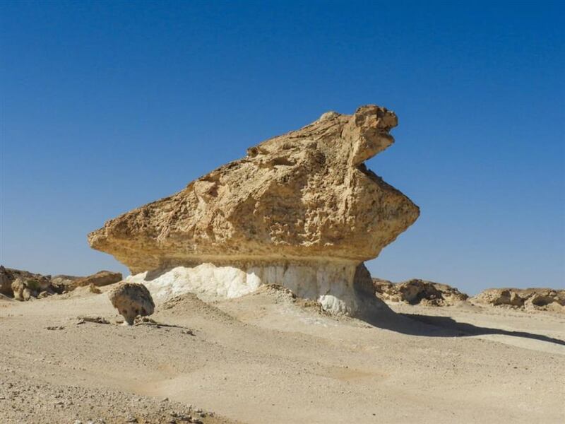 ترسبات صخرية عمرها أكثر من 50 مليون سنة في إحدى الولايات