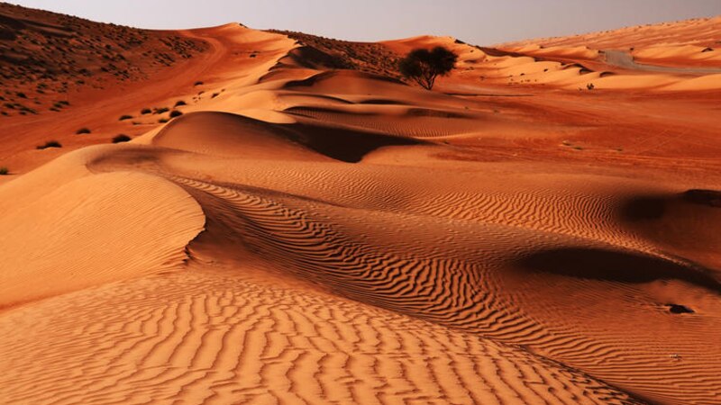 4 محافظات على موعد مع تخطيط كثبانها الرملية وتنظيمها