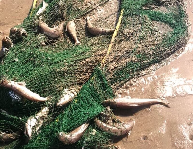 ضبط مخالفات على سواحل مسقط وتحويلها إلى الادعاء العام