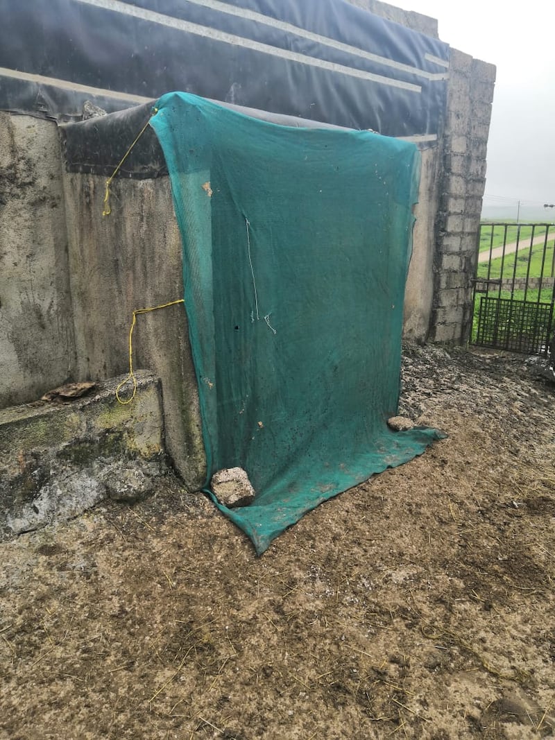 الحيوانات “تصوم” في أرياف ظفار.. ومختص يوضح