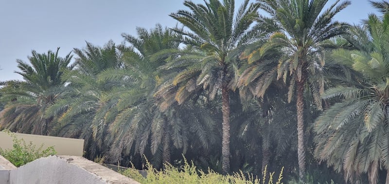 في العامرات: بيوت أثرية تروي قصة الإنسان العماني