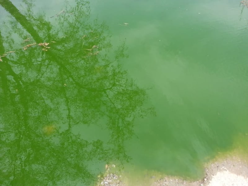 بالصور: وادٍ أسود في الخابورة ومواطنون مُتفاجِئون