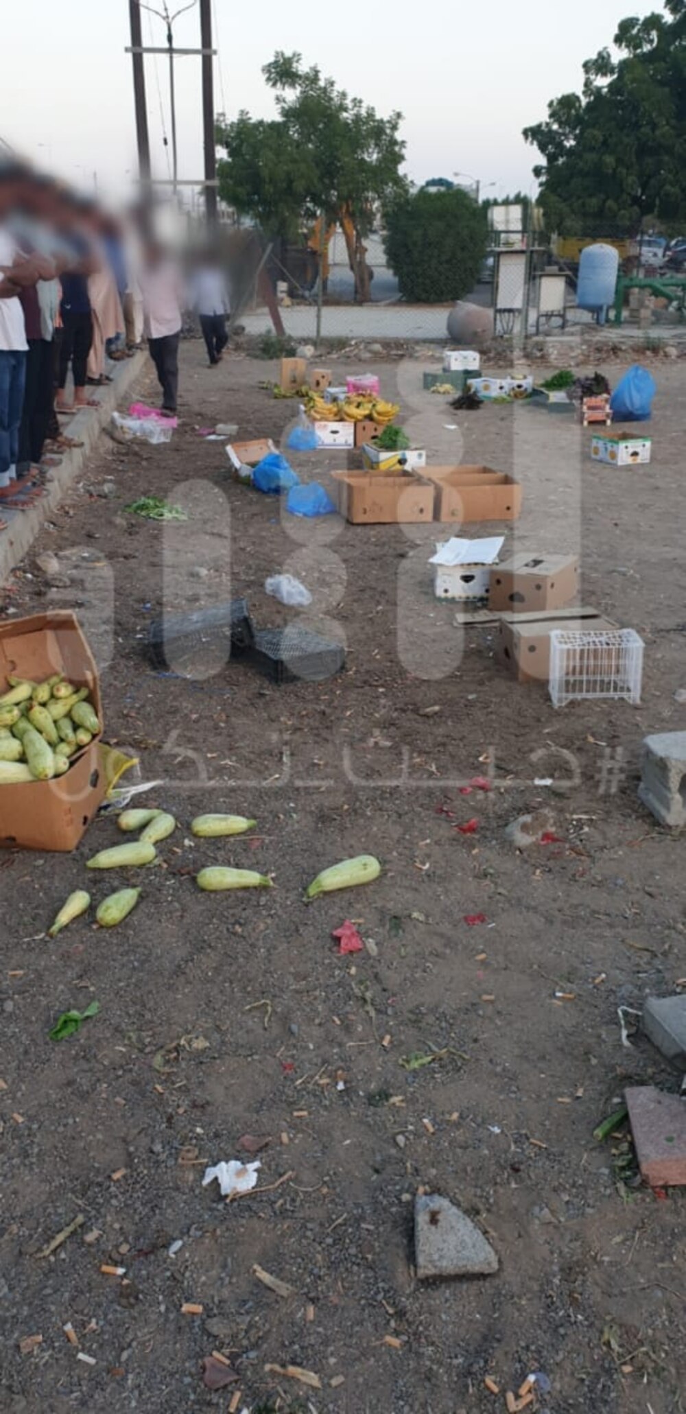 بالصور: وافدون يُزاحمون مواطنين في مصدر رزقهم